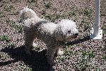 25_2008-0830-1148-00.jpg